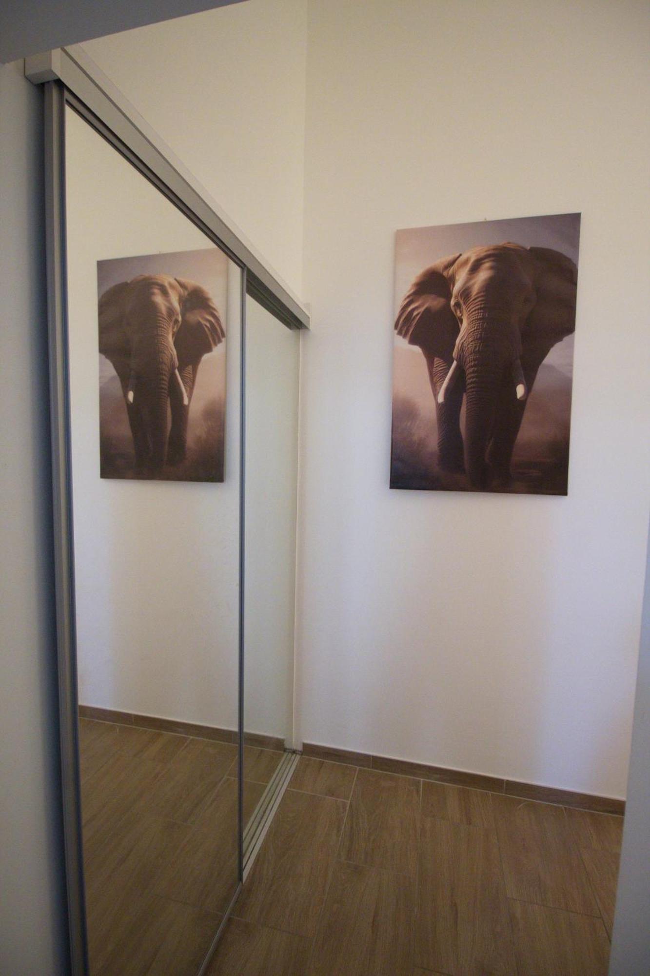 Elephant's Oasis *